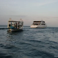 Компания дайвинг-путешествий Dive&boats фотография 5