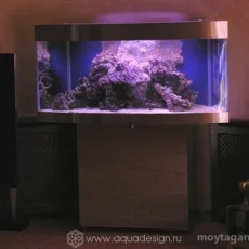 Салон аквариумов Аквадизайн фотография 3