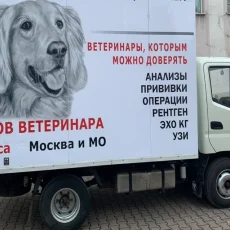 Ветеринарная клиника Хороший ветеринар на Динамовской улице фотография 6