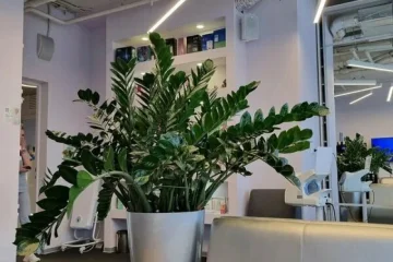 Стоматологическая клиника ОртоЛайк на бульваре Энтузиастов фотография 2